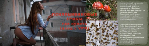 ПСИЛОЦИБИНОВЫЕ ГРИБЫ Бронницы