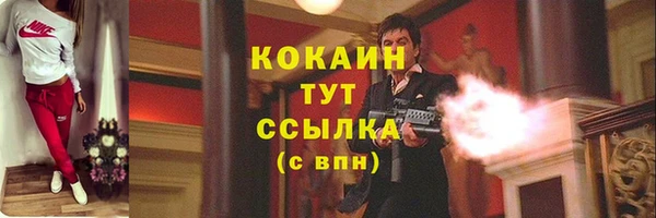 ПСИЛОЦИБИНОВЫЕ ГРИБЫ Бронницы