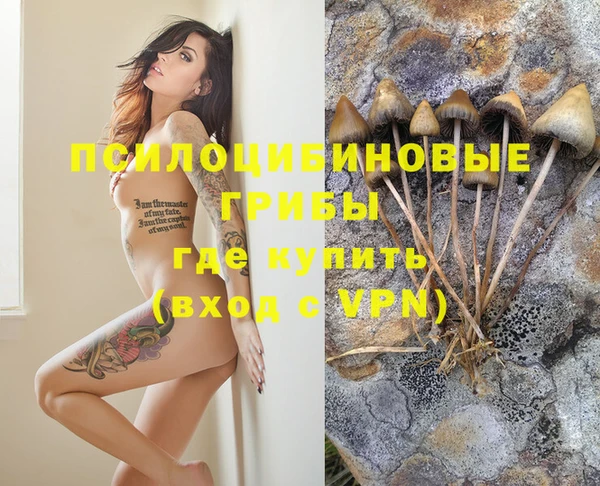 каннабис Бородино