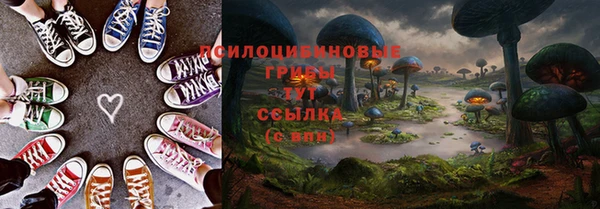 ПСИЛОЦИБИНОВЫЕ ГРИБЫ Бронницы